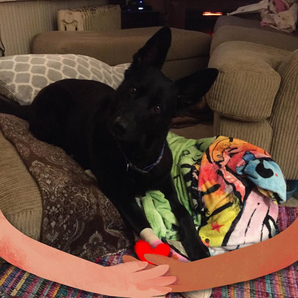 Meet your Posher, Nancy